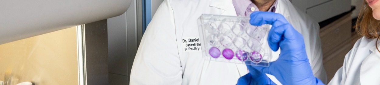 Chemistry B.S.Chem./Biochemistry and Molecular Biology M.S. (Therapeutics Discovery) (non-thesis)