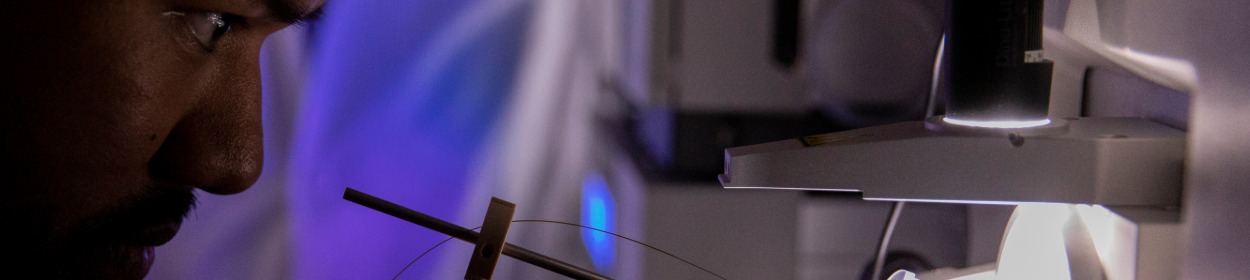 Biochemistry and Molecular Biology B.S. (na)/Biochemistry and Molecular Biology M.S. (Therapeutics Discovery) (non-thesis)