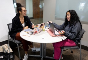 Economics BBA/Public Administration MPA(non-thesis)